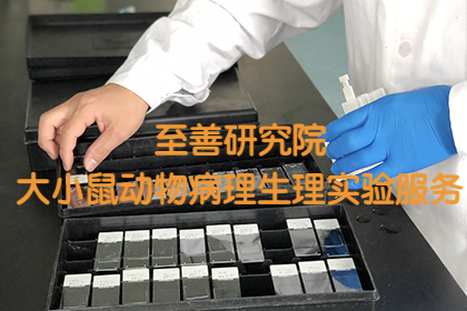 【北京专业质谱测序流式细胞分析实验外包技术服务】
