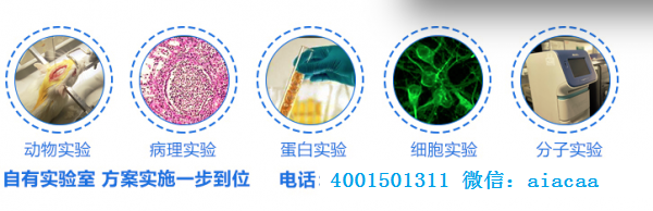 北京大小鼠生物医学科研动物模型实验外包委托整包服务